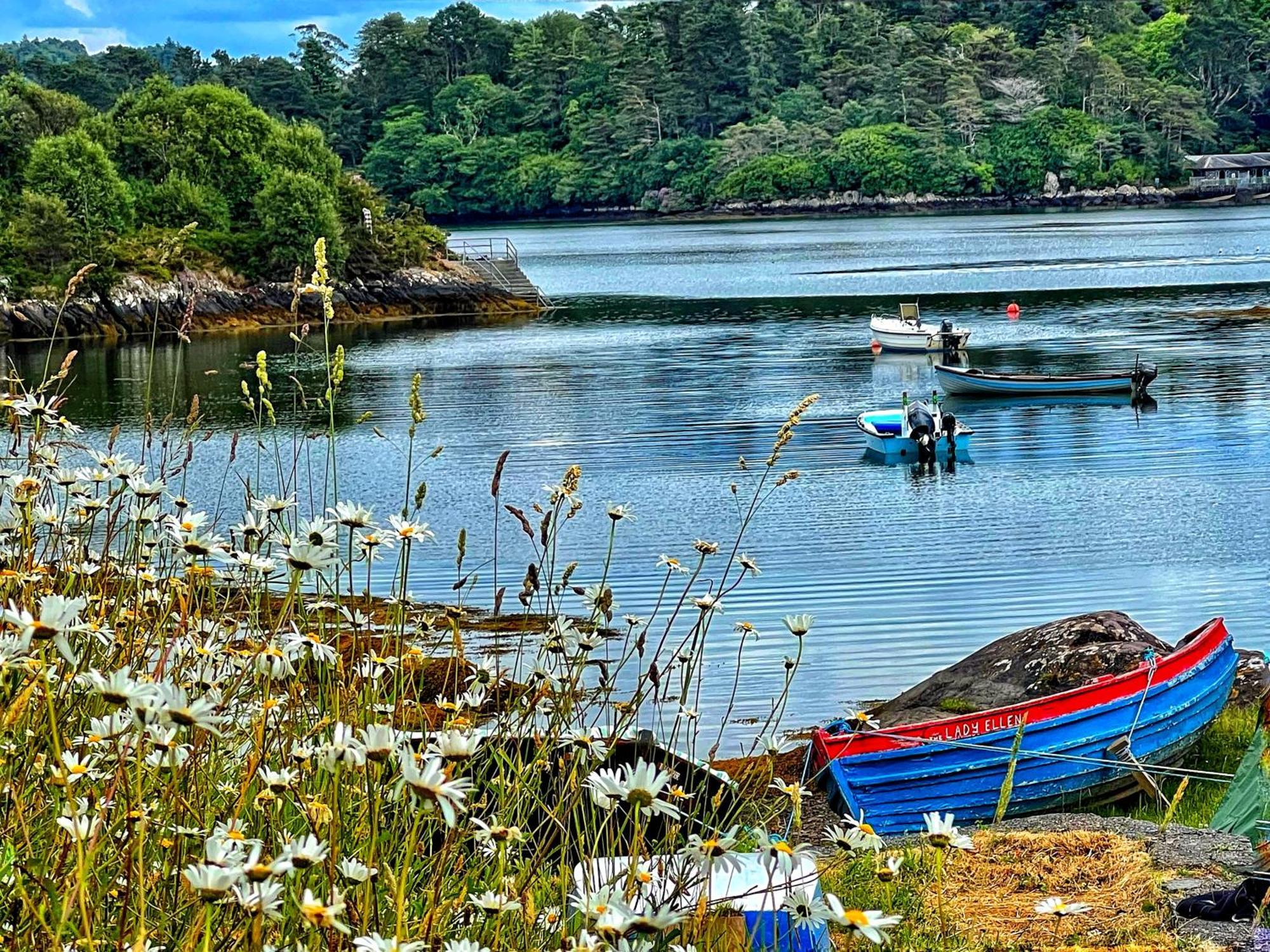Bed and Breakfast Niblick Bantry Zewnętrze zdjęcie